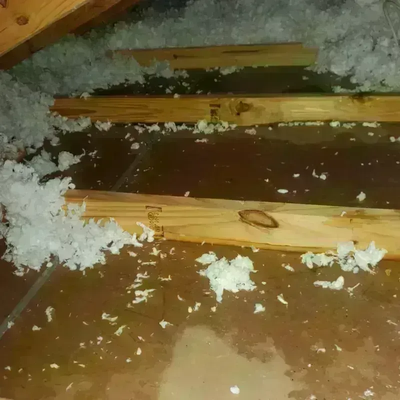 Attic Water Damage in Eddy County, ND